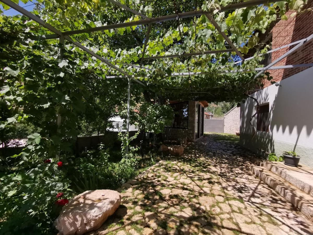 Vila Rira - Rrajce, Shebenik Perrenjas Exteriör bild