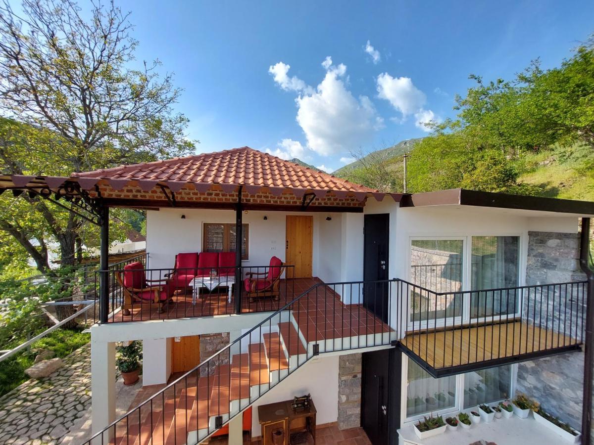Vila Rira - Rrajce, Shebenik Perrenjas Exteriör bild