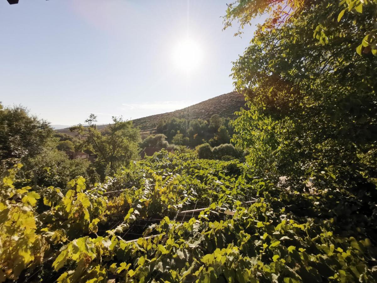 Vila Rira - Rrajce, Shebenik Perrenjas Exteriör bild