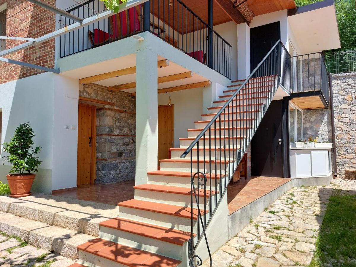 Vila Rira - Rrajce, Shebenik Perrenjas Exteriör bild